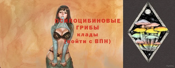 метадон Беломорск