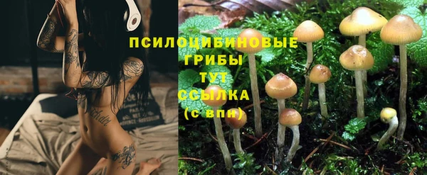 метадон Беломорск