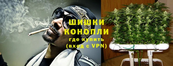 эйфоретик Белокуриха