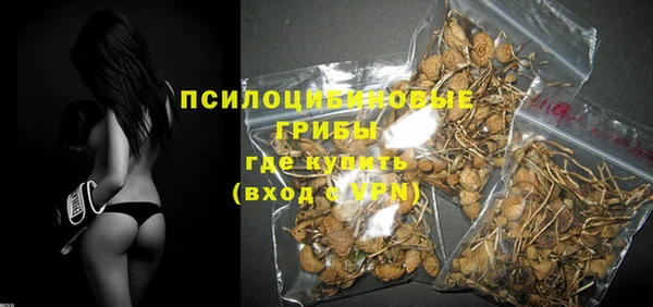эйфоретик Белокуриха