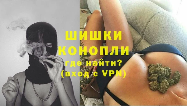 PSILOCYBIN Слюдянка