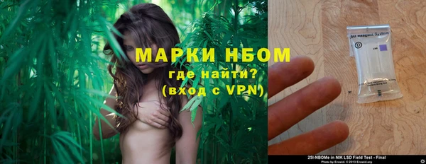 эйфоретик Белокуриха
