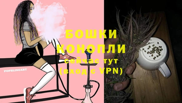 эйфоретик Белокуриха